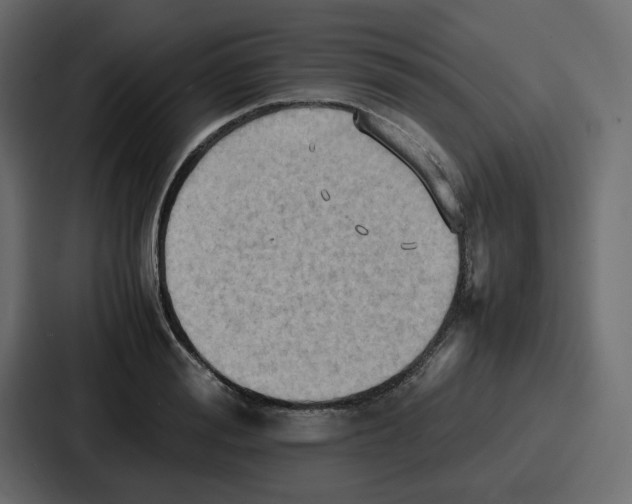 X0000086770988200705111731