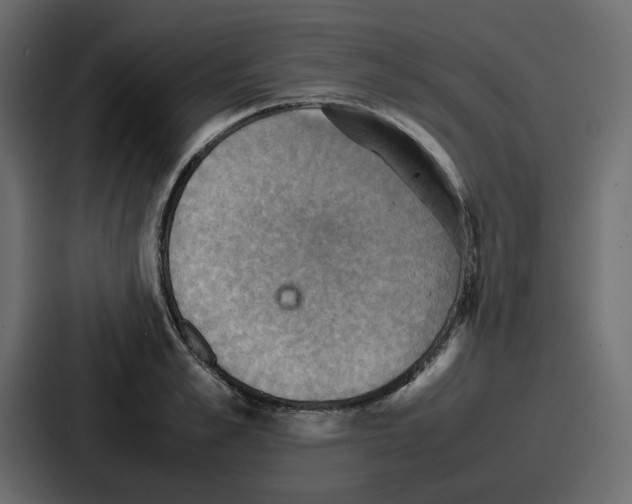 X0000086770989200705111731
