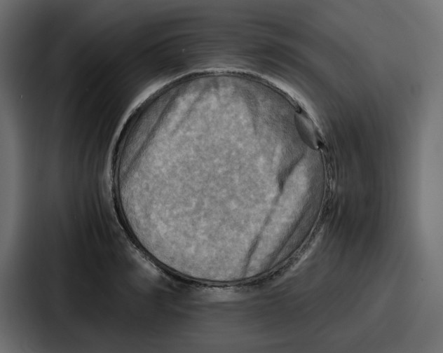 X0000086770990200705111731