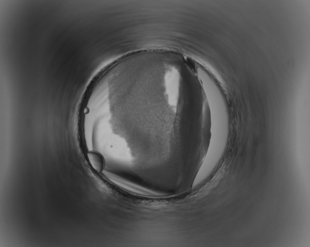 X0000086770991200705111731