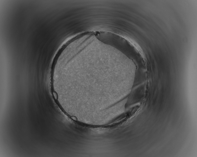 X0000086770992200705111731