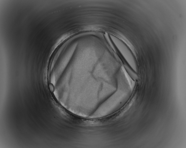 X0000086770994200705111731