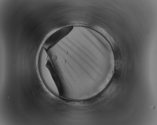 X0000086770995200705111731