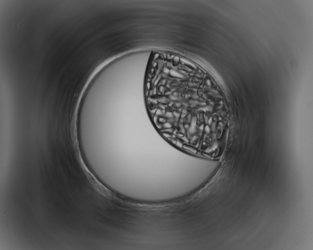 X0000086770996200705111731