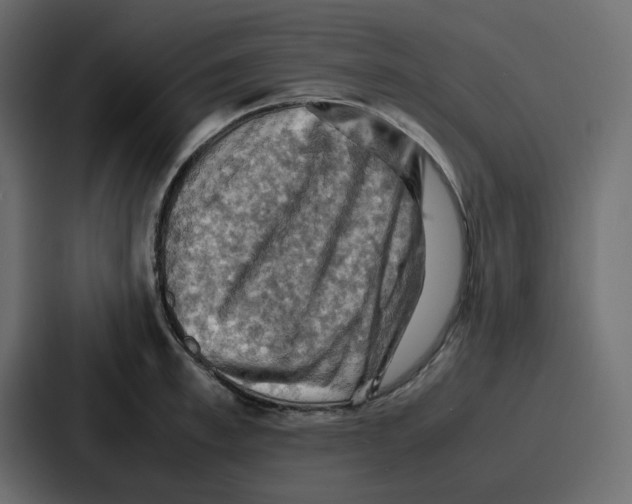 X0000086770997200705111731