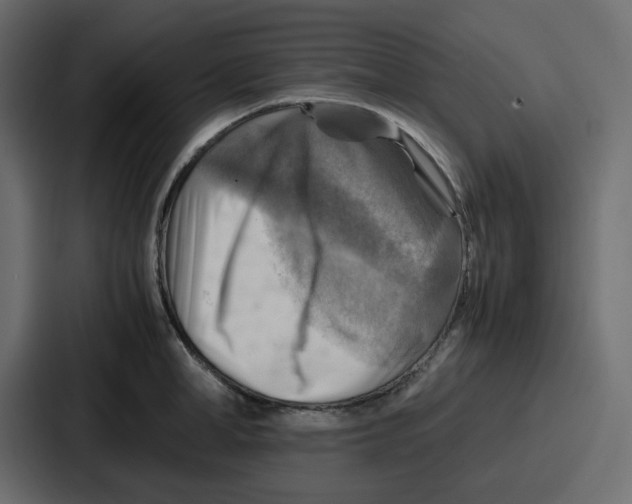 X0000086770998200705111731