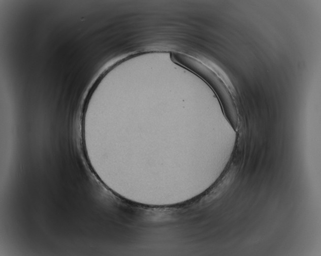 X0000086771000200705111731