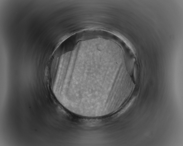 X0000086771001200705111731