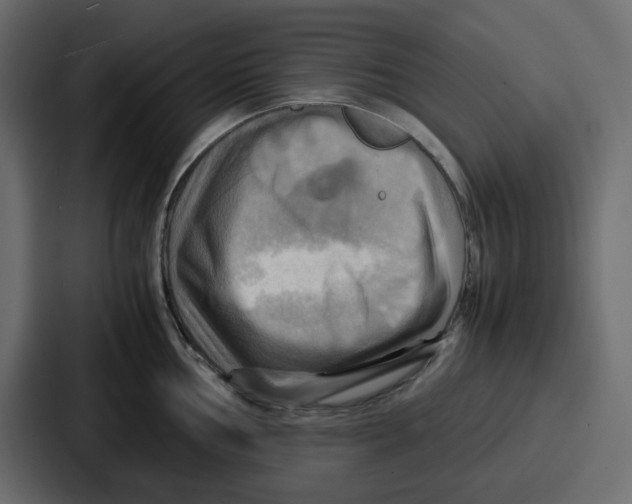 X0000086771002200705111731