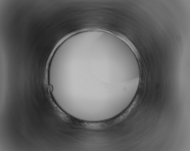 X0000086771004200705111731