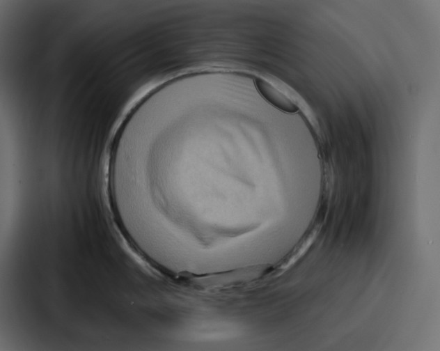 X0000086771006200705111731