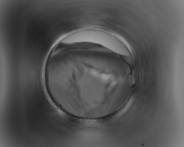 X0000086771007200705111731