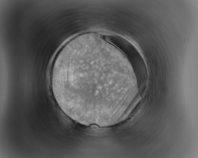 X0000086771008200705111731