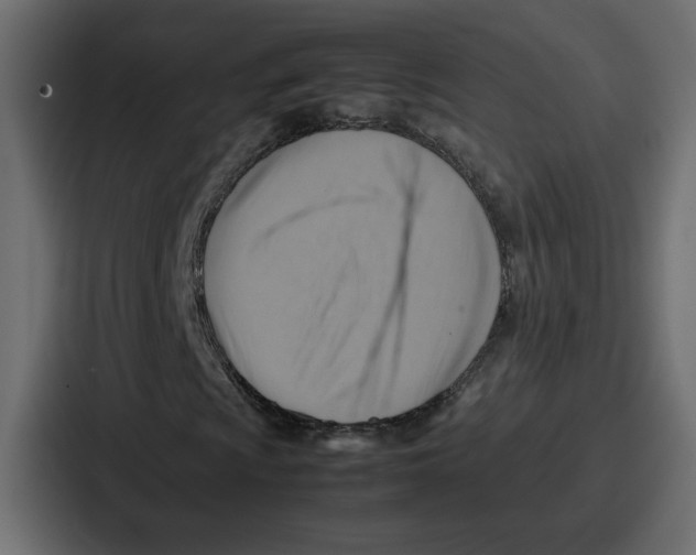 X0000086771009200705111731