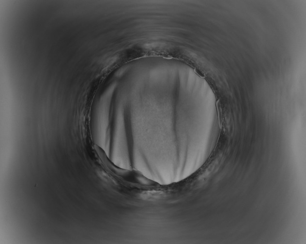 X0000086771010200705111731