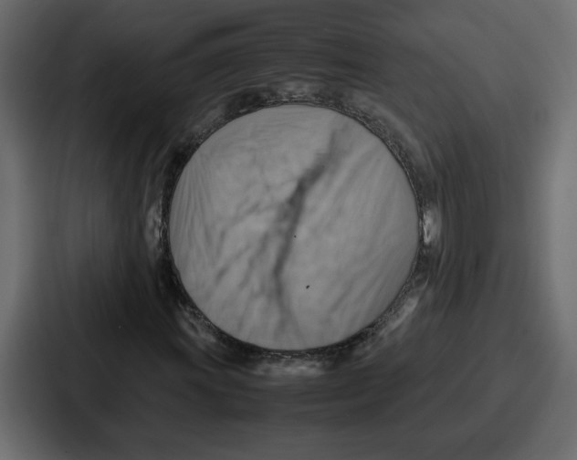X0000086771011200705111731