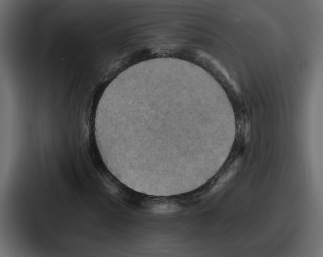 X0000086771012200705111731