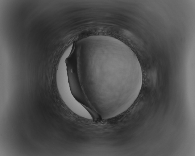 X0000086771013200705111731