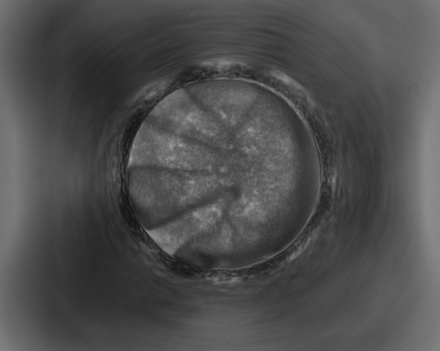 X0000086771014200705111731