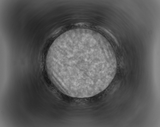 X0000086771015200705111731