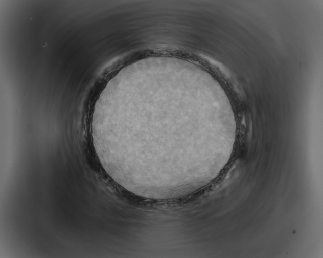 X0000086771016200705111731