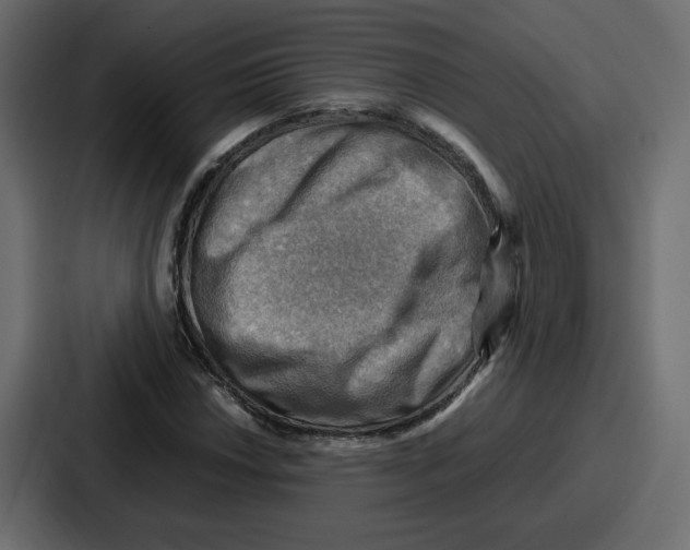 X0000086771018200705111731