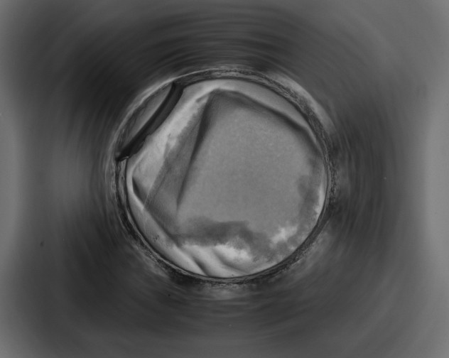 X0000086771019200705111731