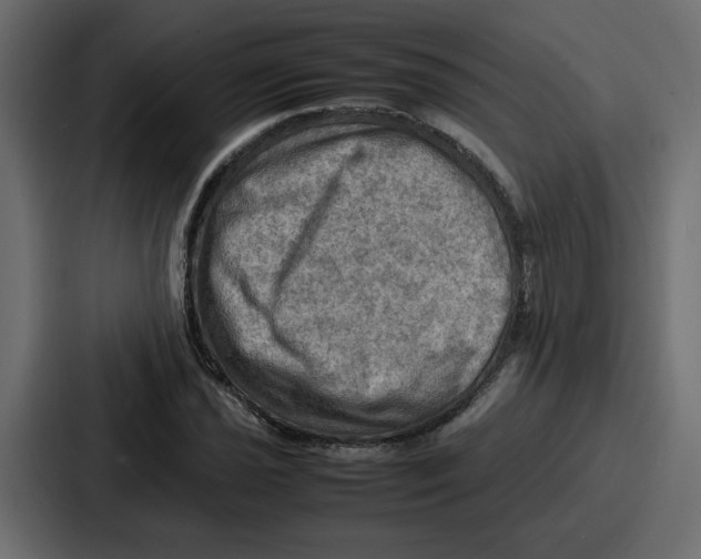 X0000086771021200705111731