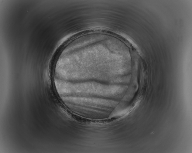 X0000086771022200705111731