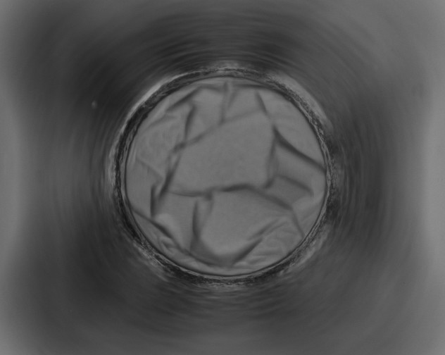 X0000086771023200705111731