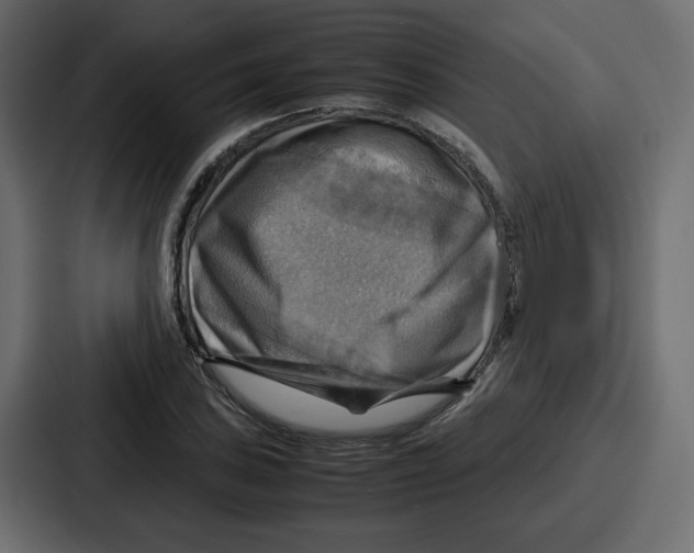 X0000086771027200705111731
