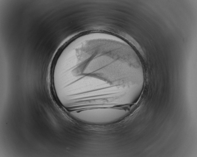 X0000086771028200705111731