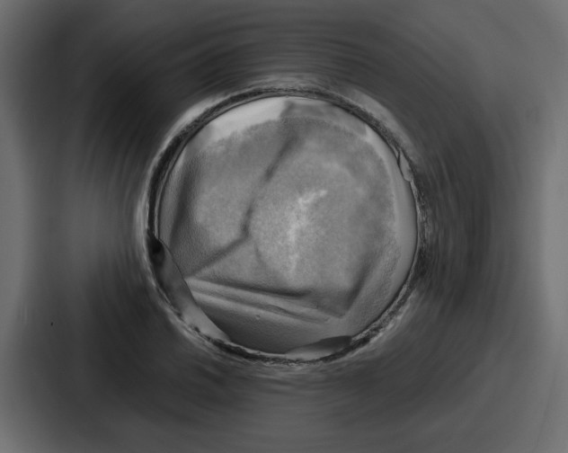X0000086771030200705111731