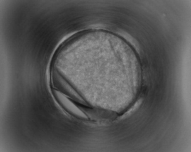 X0000086771032200705111731