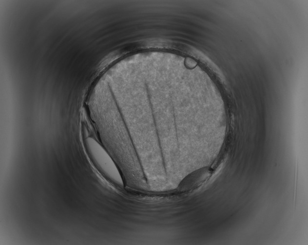 X0000086771033200705111731
