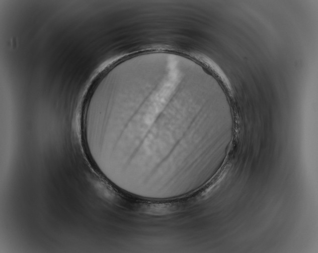 X0000086771035200705111731