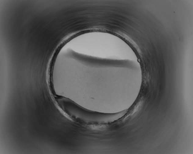 X0000086771037200705111731