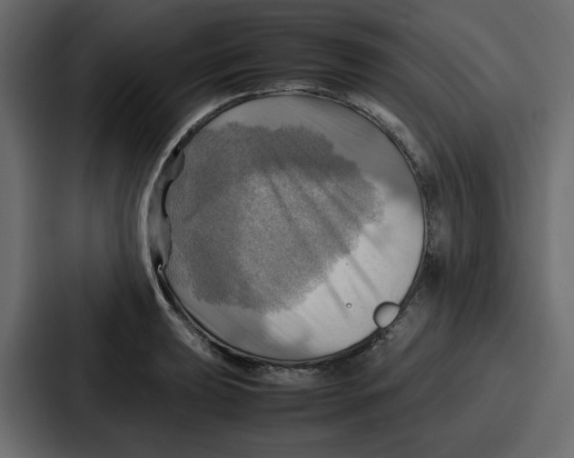 X0000086771039200705111731