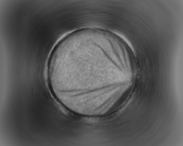 X0000086771040200705111731