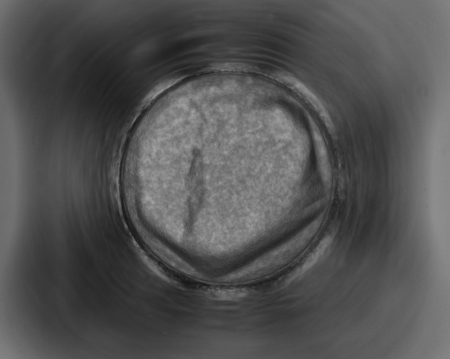 X0000086771041200705111731