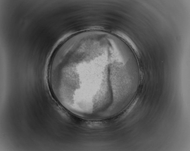 X0000086771043200705111731