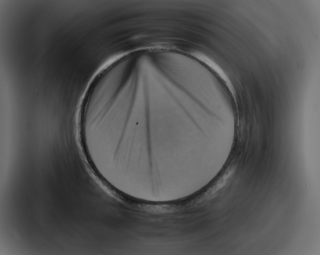 X0000086771045200705111731