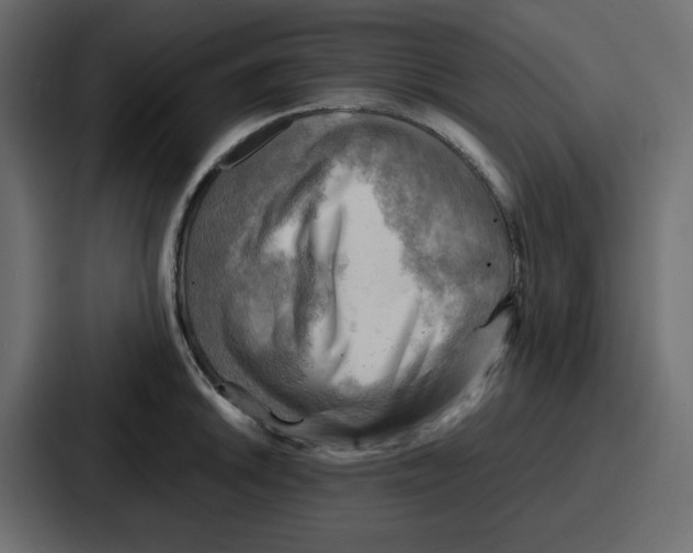 X0000086771046200705111731