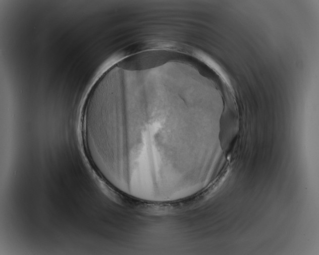 X0000086771050200705111731