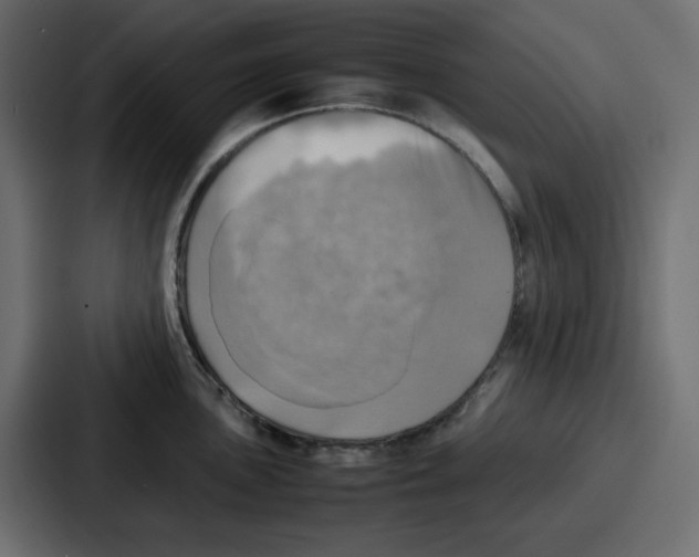 X0000086771051200705111731