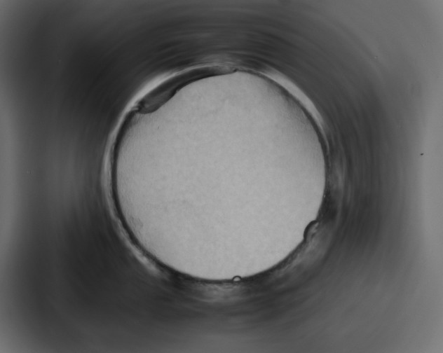 X0000086771053200705111731