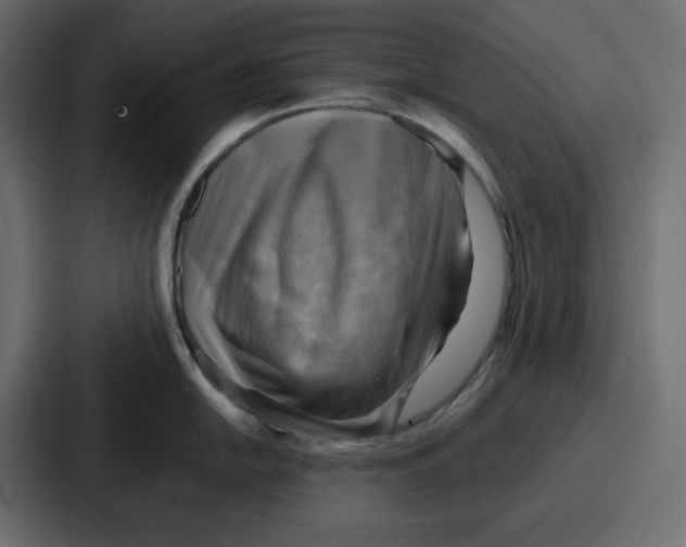 X0000086771054200705111731