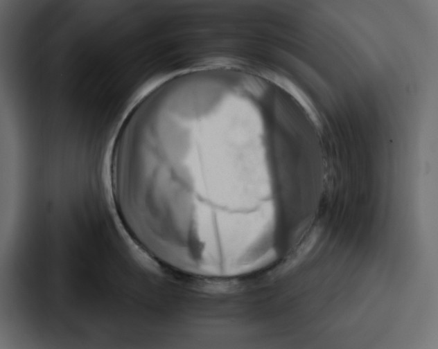 X0000086771055200705111731