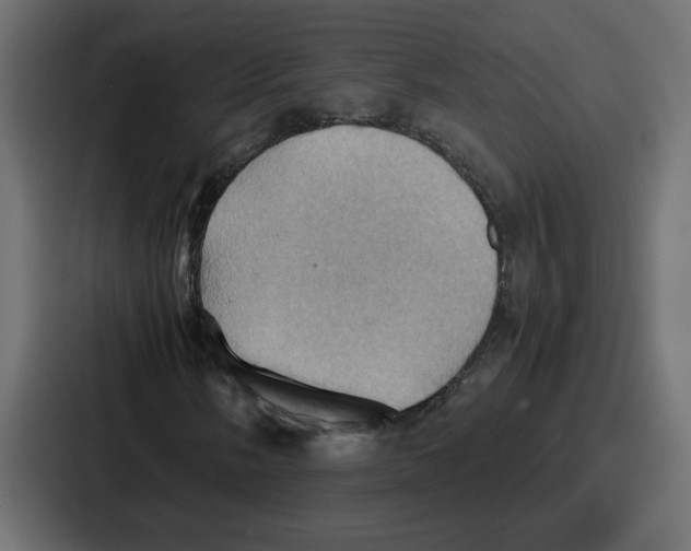 X0000086771058200705111731