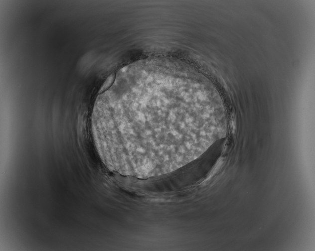 X0000086771059200705111731